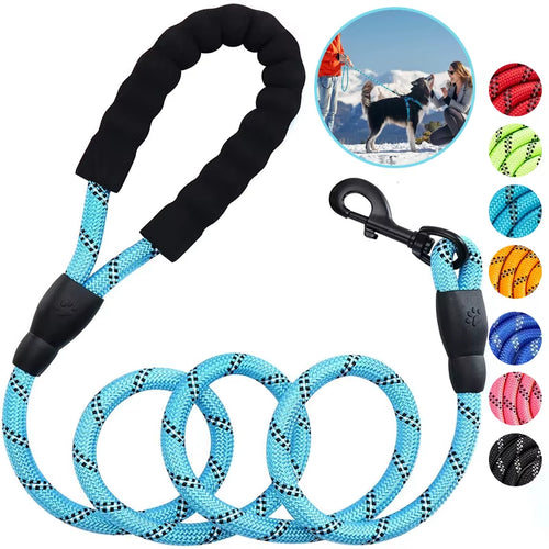 3M Pet Reflective Nylon Tow Rope Non Slip Foam Handle Pet Adjustable Towing Ropes Large Middlesmall Dogs Outdoors Pet Supplies