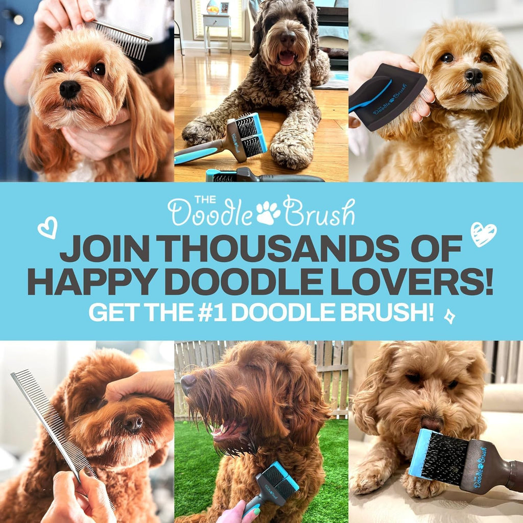 , Slicker Brush for Dogs, Dual Head Dog Hair Brushes, Flexible Head Slicker for Dogs, Poodle, Labradoodle, Sheepadoodle, Tangle-Free Grooming, Healthy & Shiny Coat Pet Brushes
