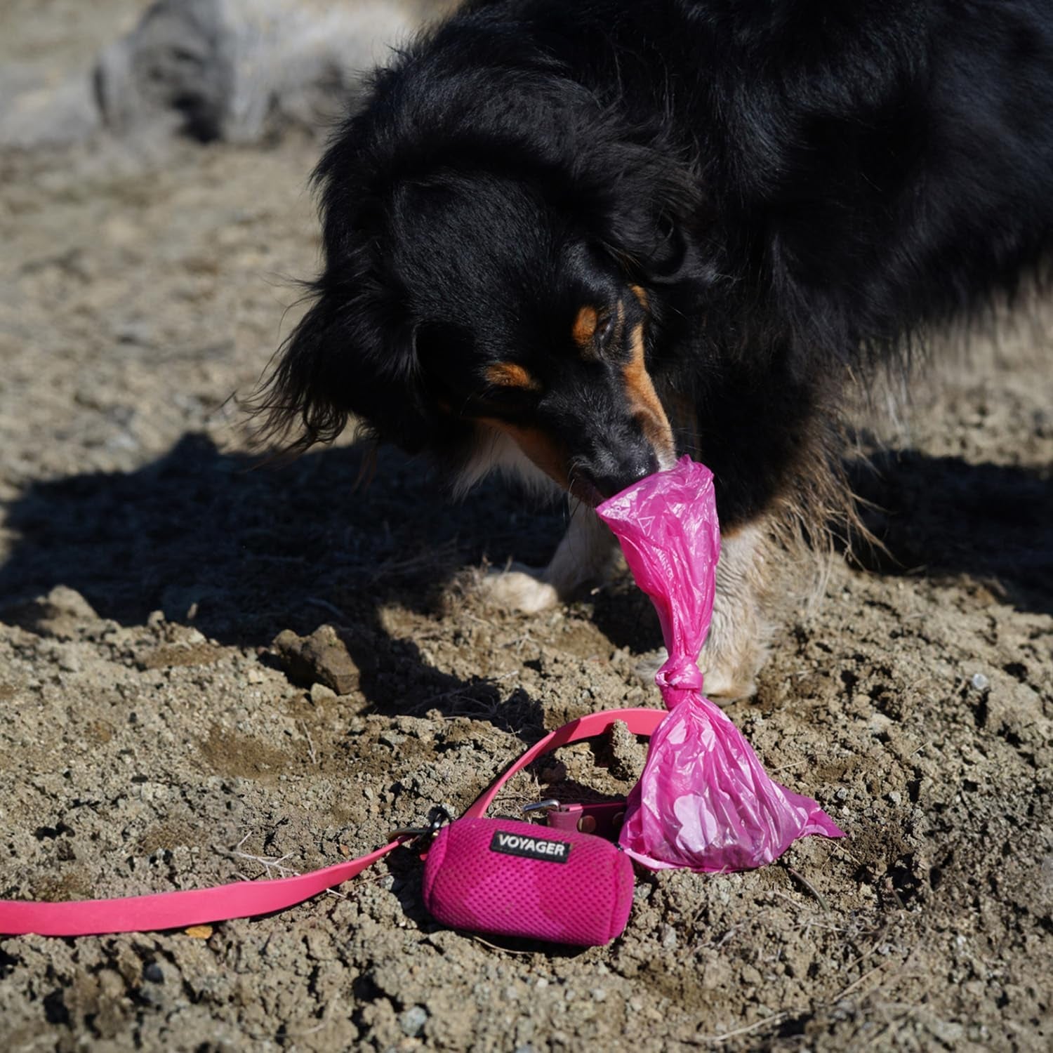 Dog Poop Bags for Waste Refuse Cleanup, Doggy Roll Replacements for Outdoor Puppy Walking and Travel, Leak Proof and Tear Resistant, Thick Plastic - Pink Heart, 240 Bags